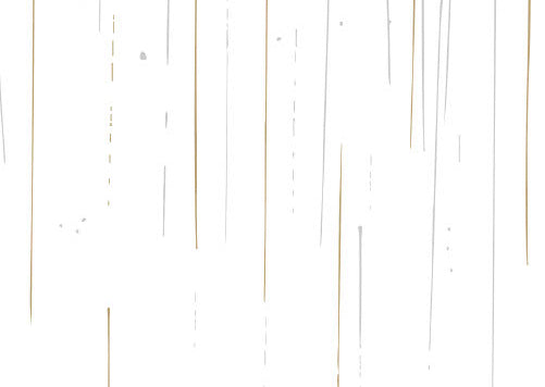 2025.7/1-7/7『夏の雨 夏の星』展@TANKE（神奈川 大磯町）